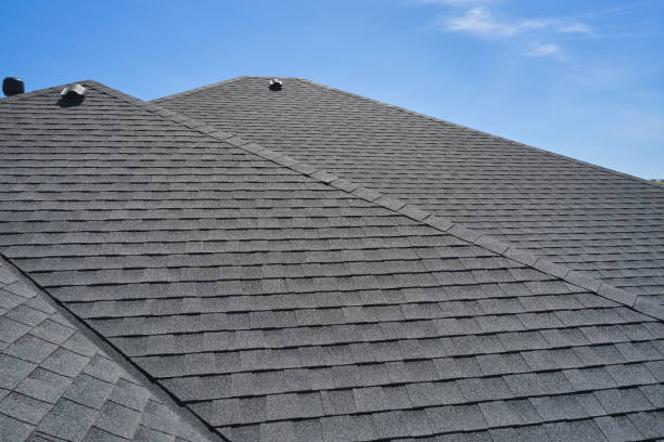 Best Roof Coating Services  in Stanton, MI